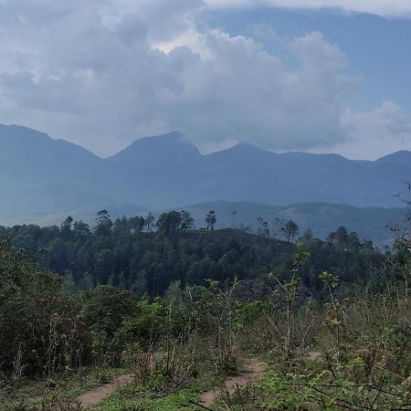 El Lora Resldency Bed & Breakfast Munnar Ngoại thất bức ảnh