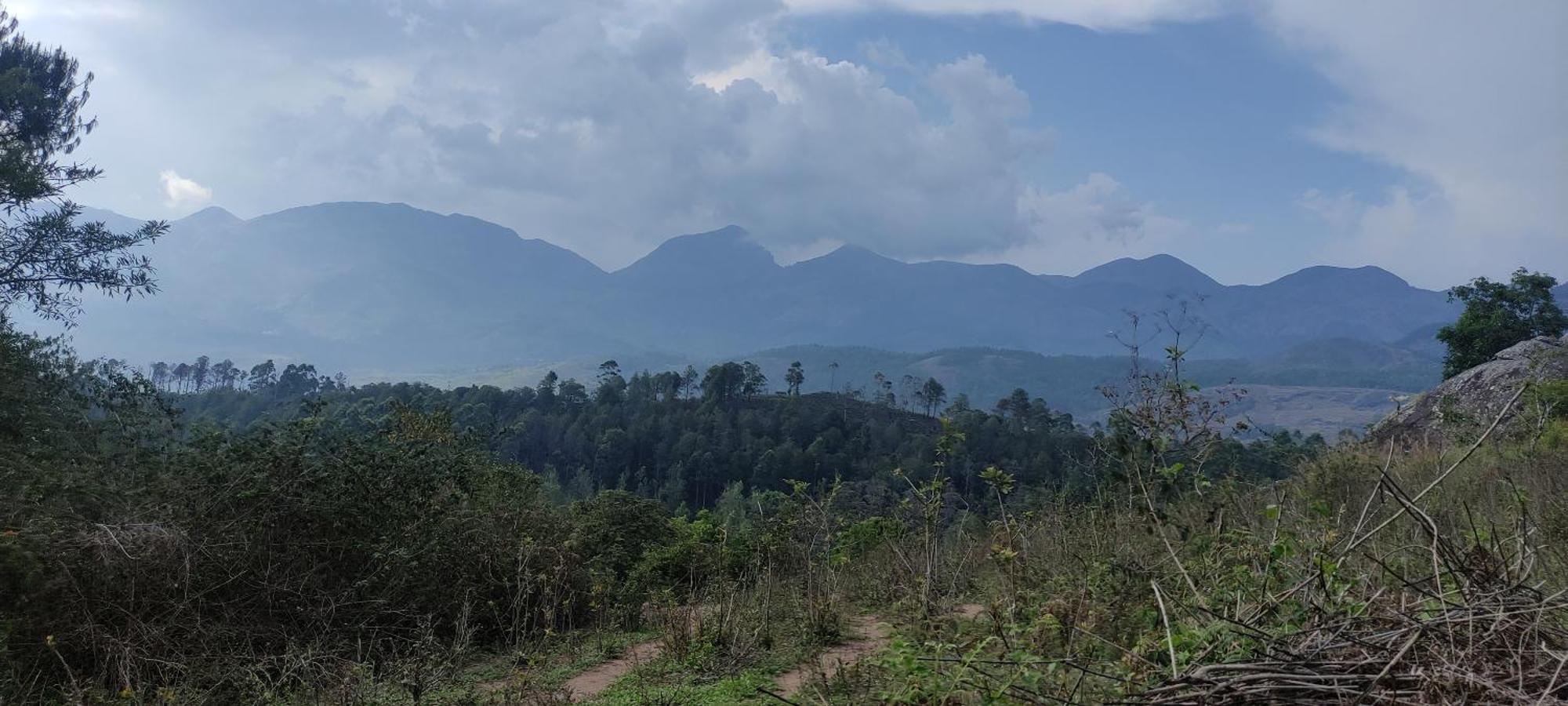 El Lora Resldency Bed & Breakfast Munnar Ngoại thất bức ảnh